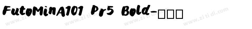 FutoMinA101 Pr5 Bold字体转换